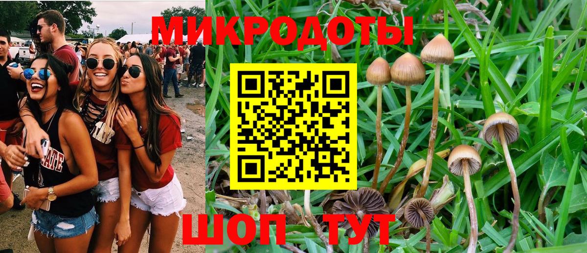 Псилоцибиновые грибы ЛСД  Вход с VPN  где продают наркотики  Чернушка 