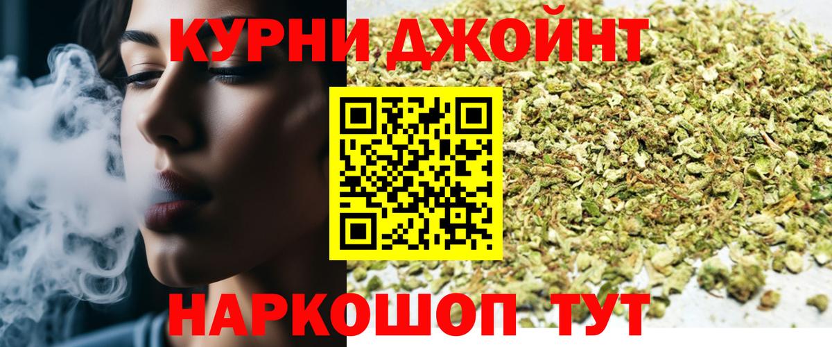 Каннабис план  Вход с VPN  Чернушка  Шишки марихуана SATIVA & INDICA  Шишки марихуана гибрид 